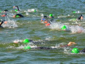 open water swimming gear