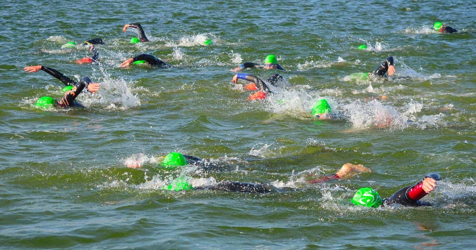 open water swimming gear